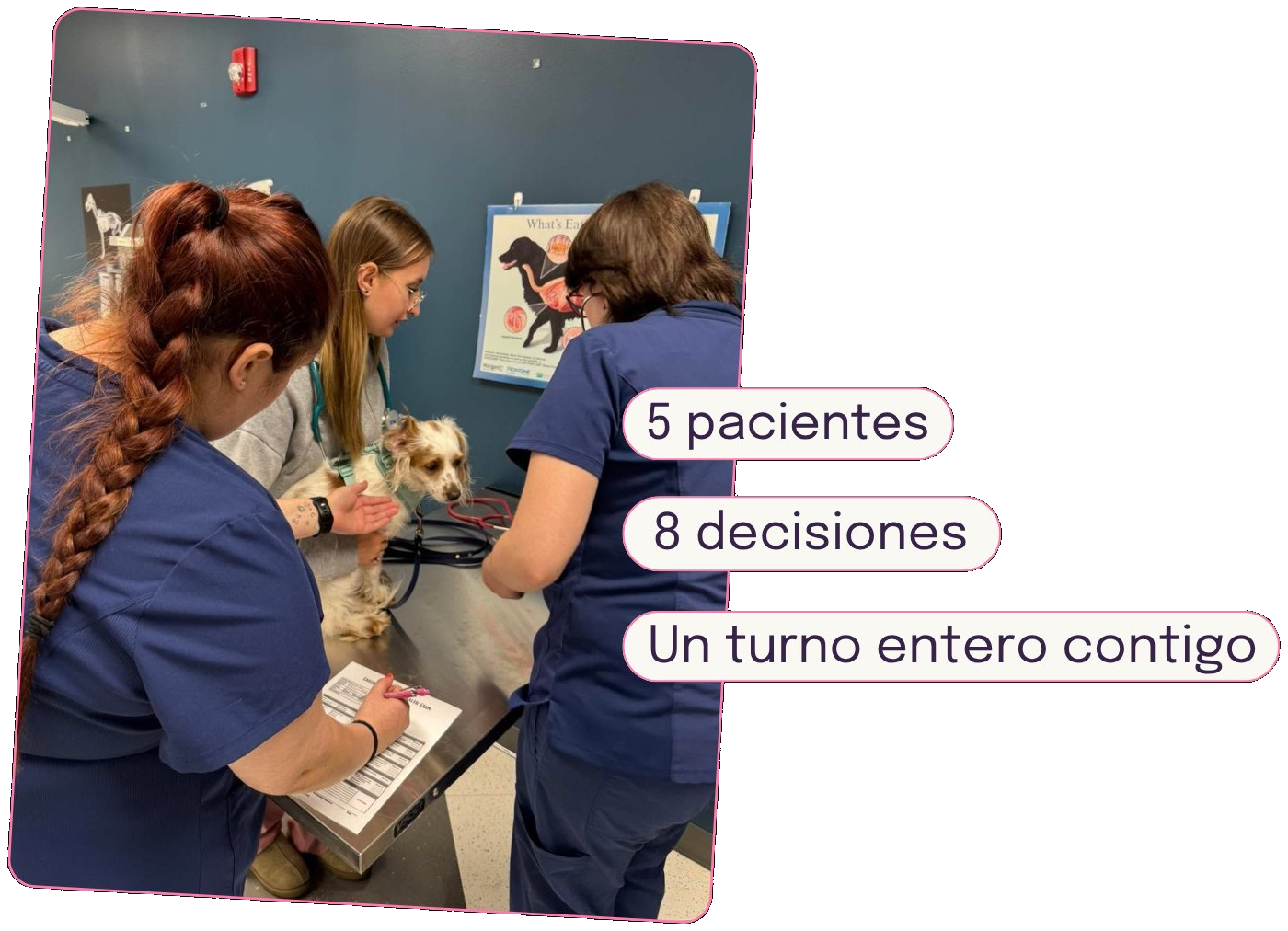 Quiz de hospitalización para ATV — 5 pacientes, 8 decisiones, un turno entero contigo