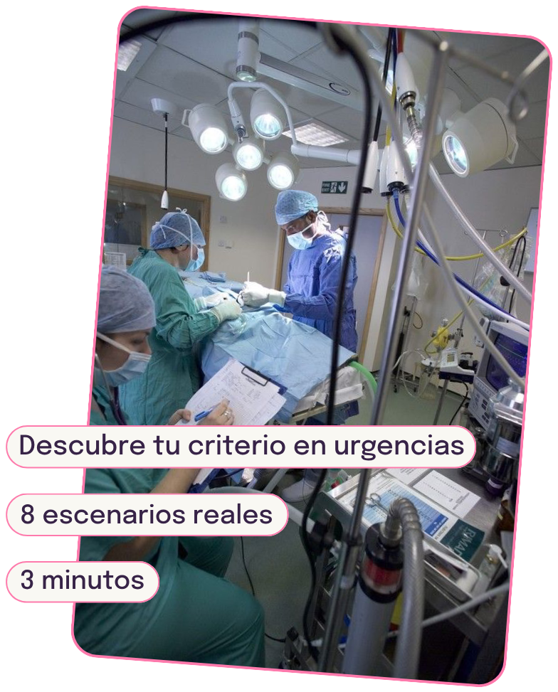Quiz de criterio en urgencias veterinarias — 8 escenarios reales, 3 minutos